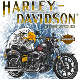 H-D Raging Riders Mns T