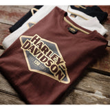 Harley-Davidson® Men's 120th Anniversary Tee // 96571-23VM